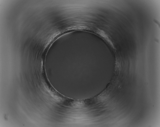 X0000099950110200806061552