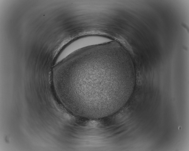 X0000099950111200806061552