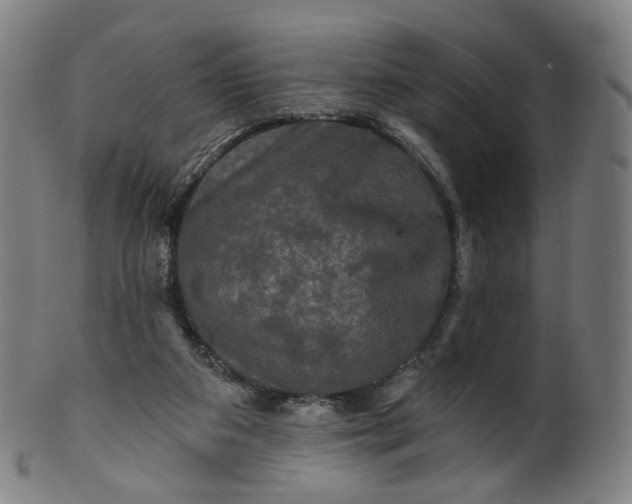 X0000099950113200806061552