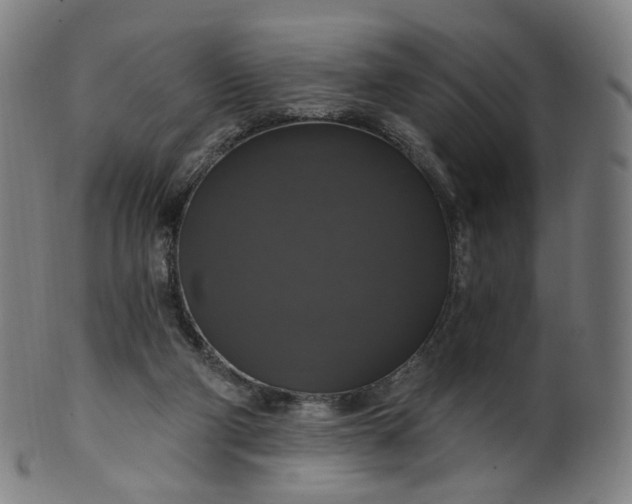 X0000099950114200806061552