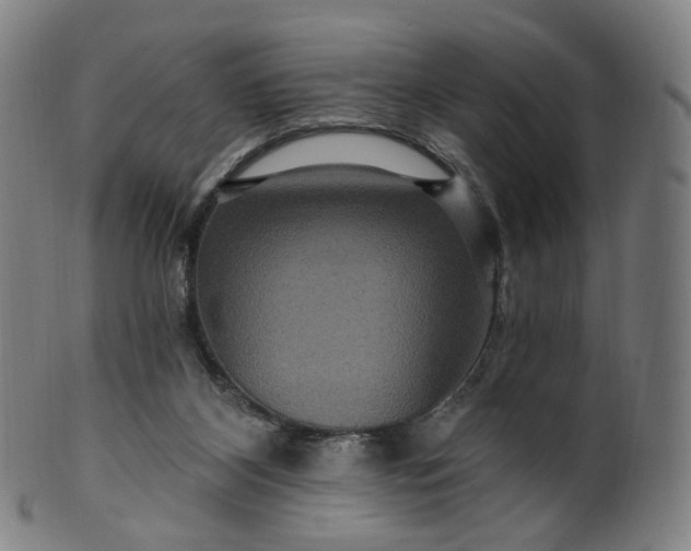 X0000099950116200806061552