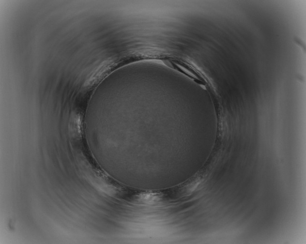 X0000099950117200806061552