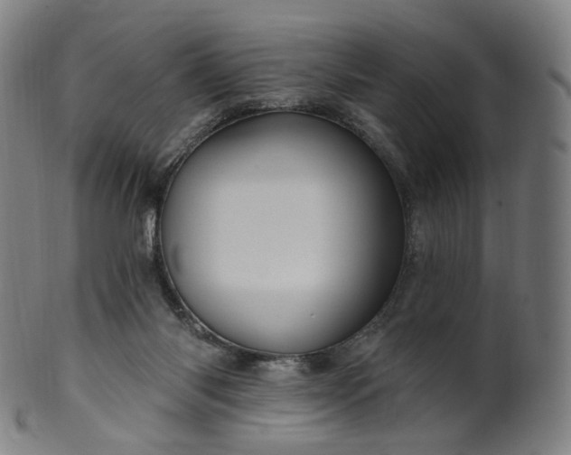 X0000099950118200806061552