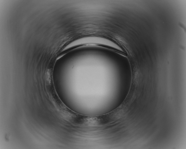 X0000099950121200806061552