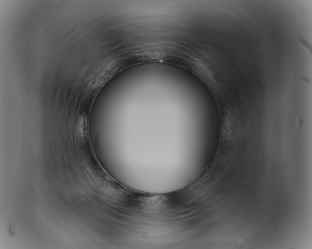 X0000099950122200806061552