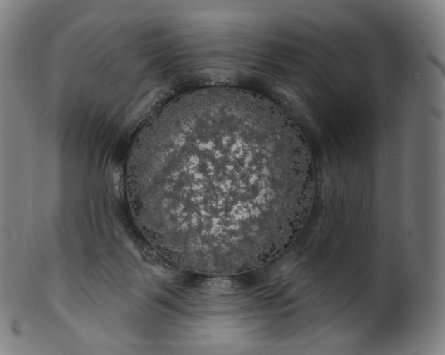 X0000099950123200806061551