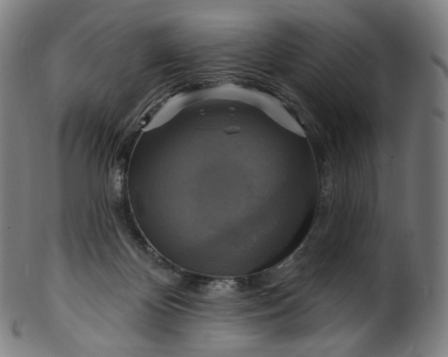 X0000099950124200806061551