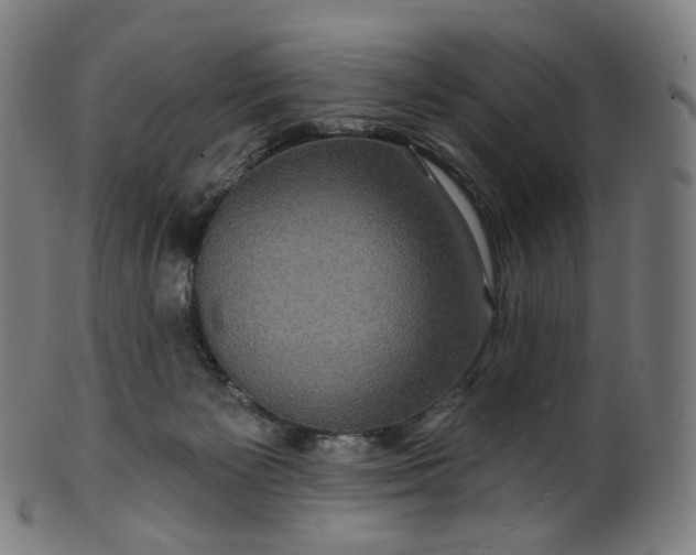 X0000099950125200806061551