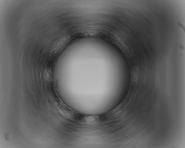 X0000099950126200806061551