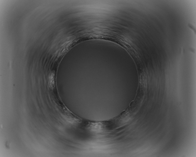 X0000099950127200806061551