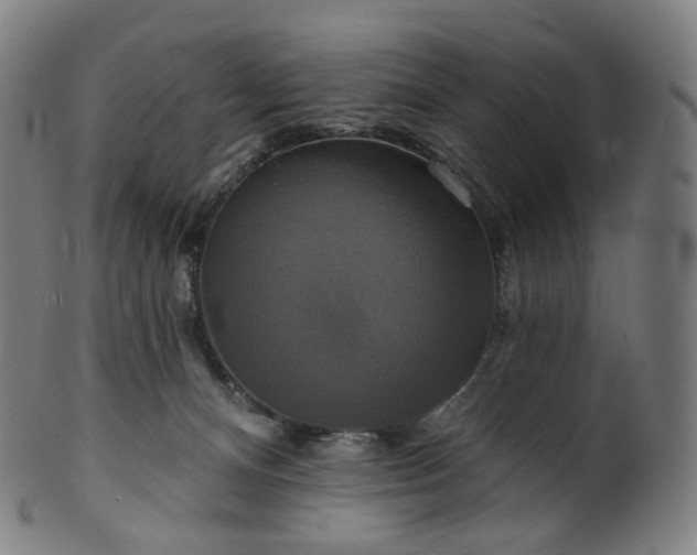 X0000099950128200806061551