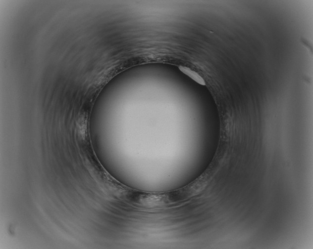 X0000099950129200806061551