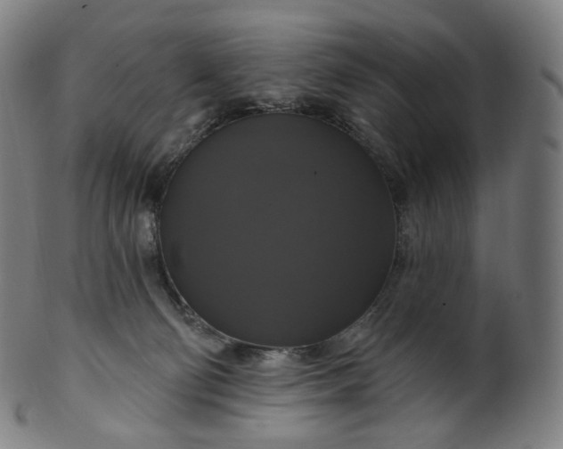 X0000099950130200806061551