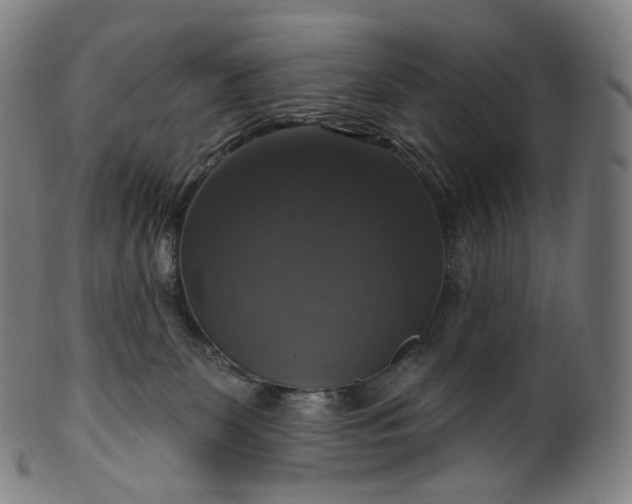 X0000099950131200806061551