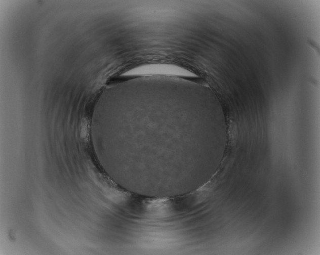 X0000099950132200806061551