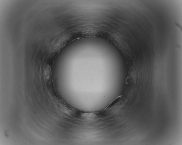 X0000099950133200806061551