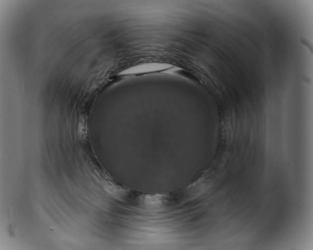 X0000099950134200806061551