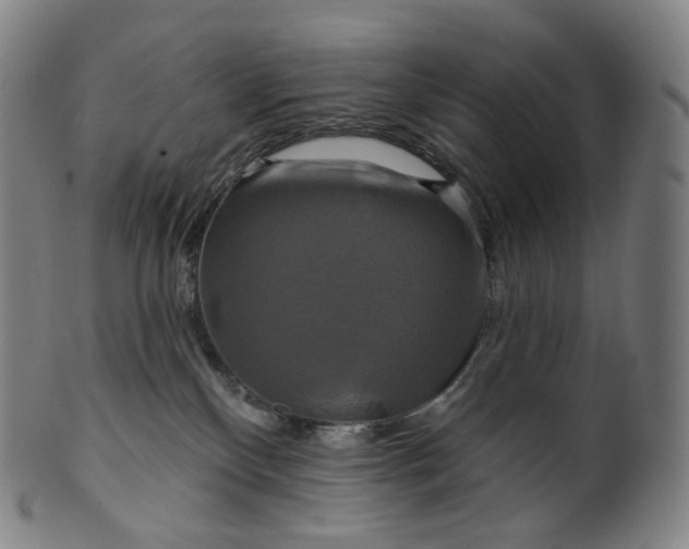 X0000099950136200806061551