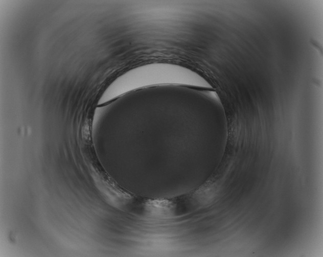 X0000099950137200806061551