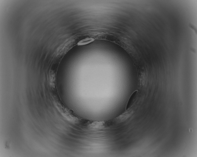 X0000099950138200806061551