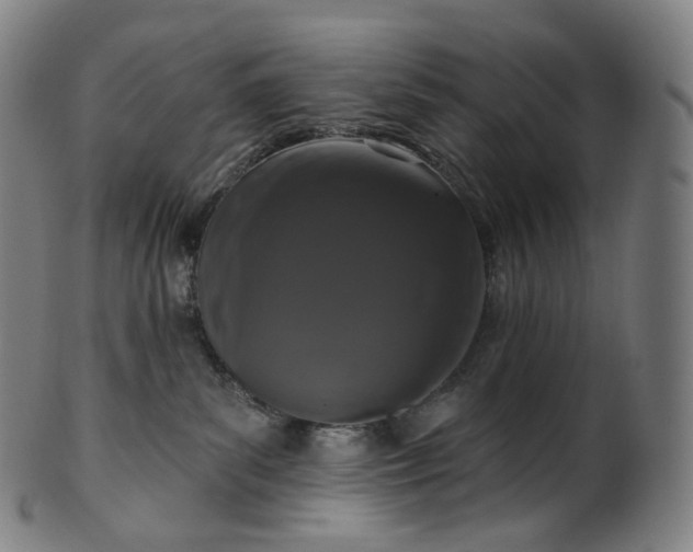 X0000099950139200806061551