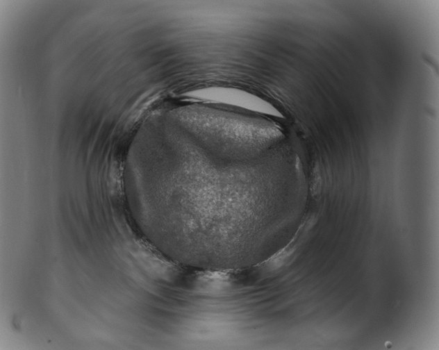 X0000099950140200806061551