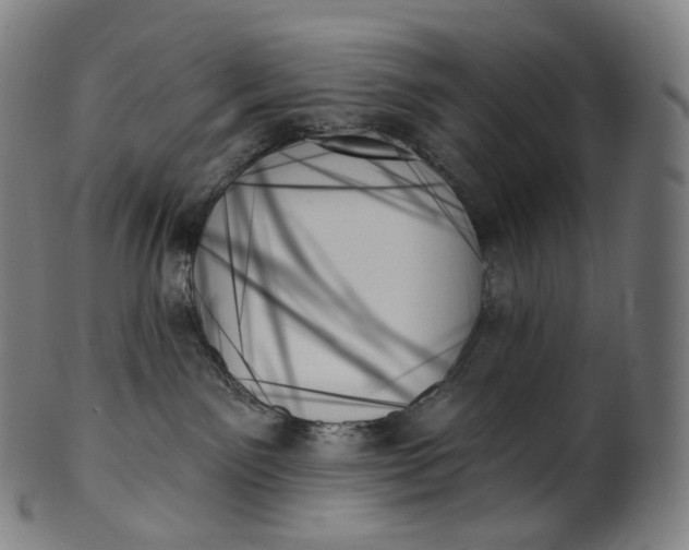 X0000099950141200806061551