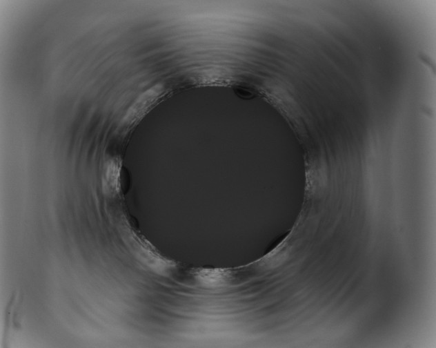 X0000099950142200806061551