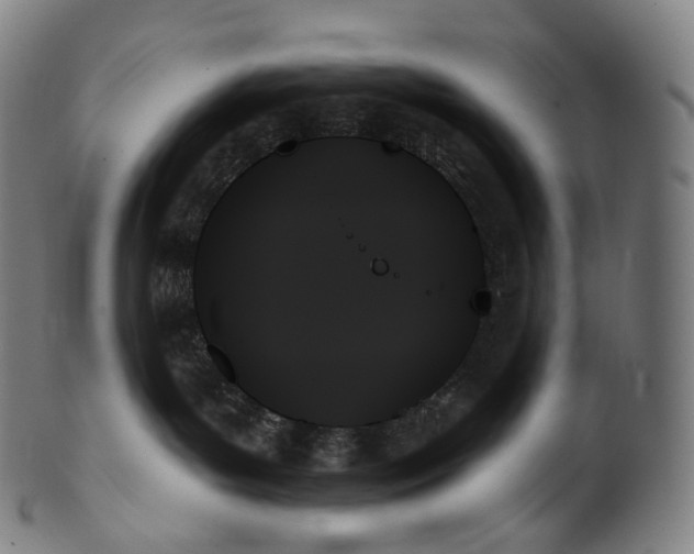 X0000099950143200806061551