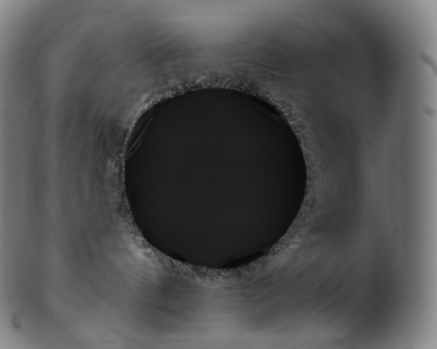 X0000099950144200806061551