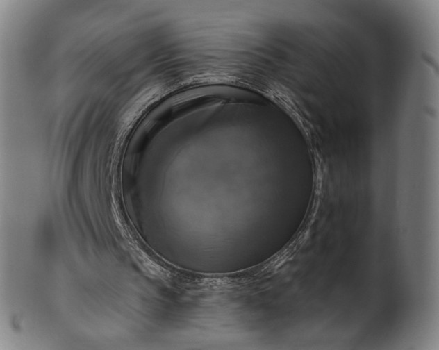 X0000099950145200806061550