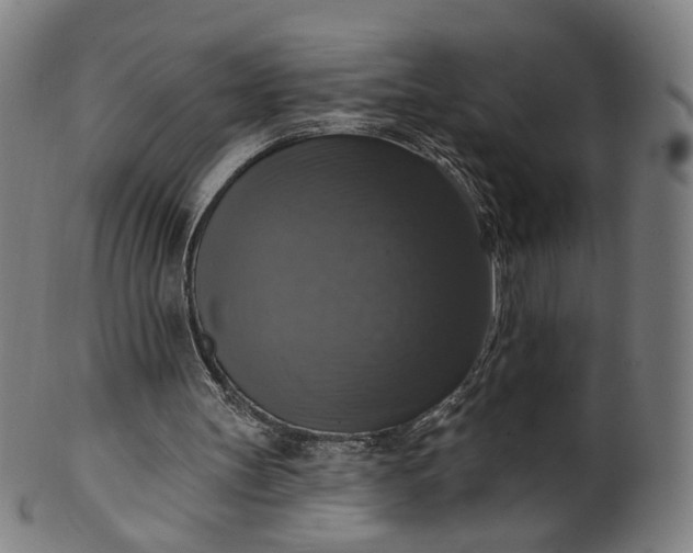 X0000099950147200806061550