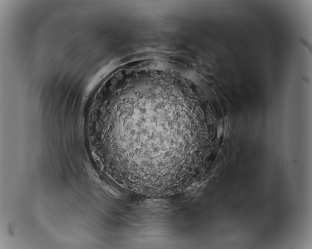 X0000099950150200806061550