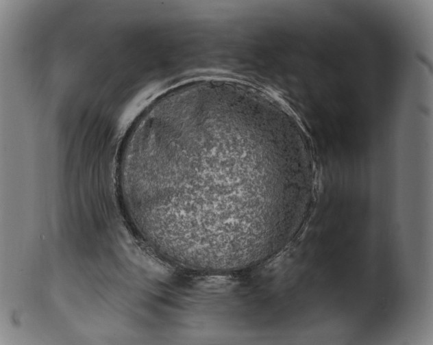 X0000099950151200806061550