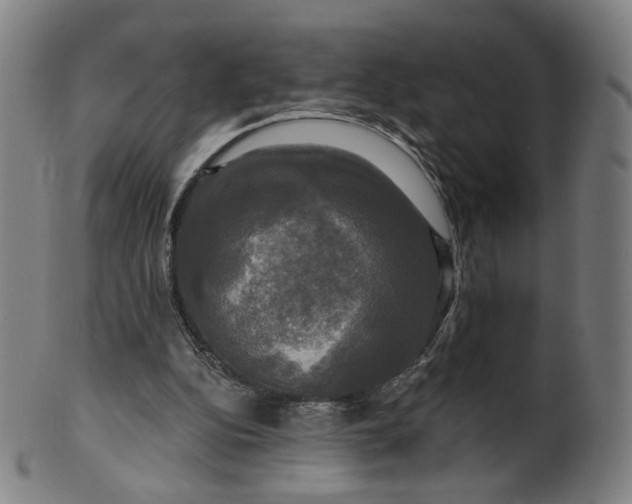 X0000099950152200806061550