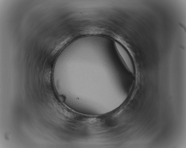 X0000099950153200806061550