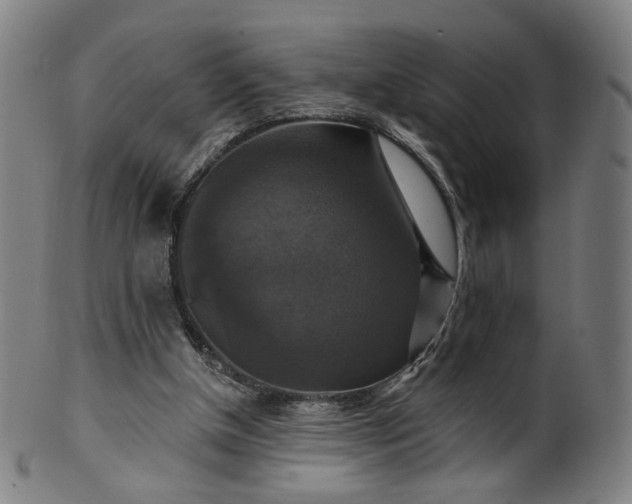 X0000099950154200806061550