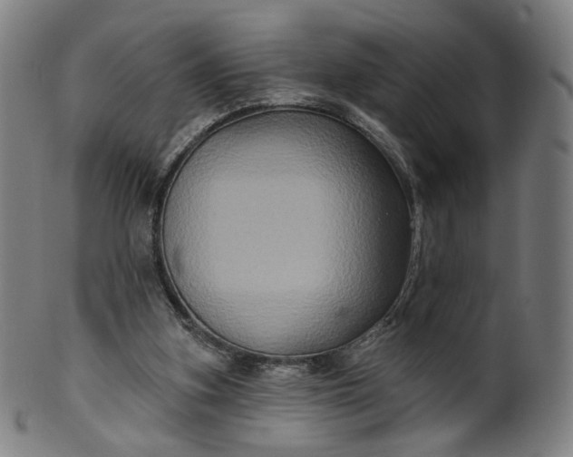 X0000099950155200806061550