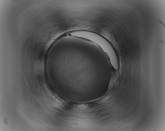 X0000099950156200806061551