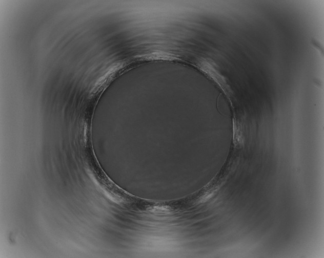 X0000099950157200806061551