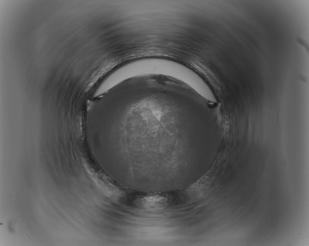 X0000099950158200806061551