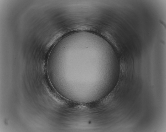 X0000099950159200806061551