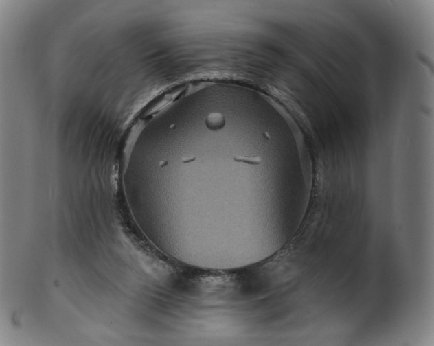 X0000099950160200806061551