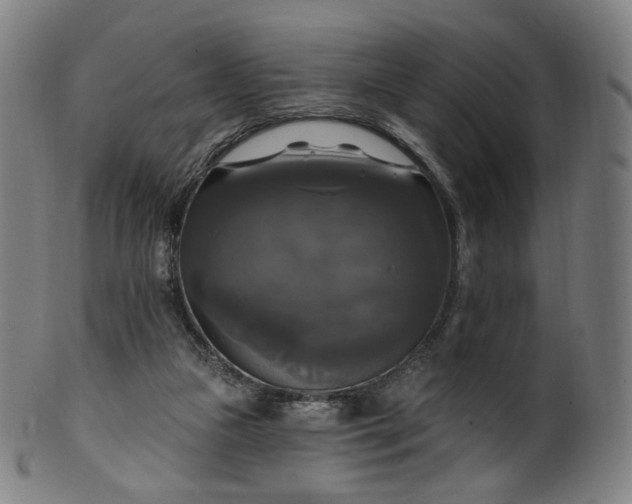 X0000099950161200806061551