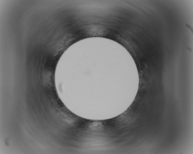 X0000099950162200806061551