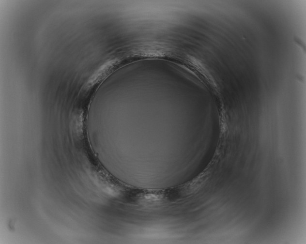 X0000099950163200806061551