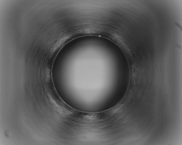 X0000099950164200806061551