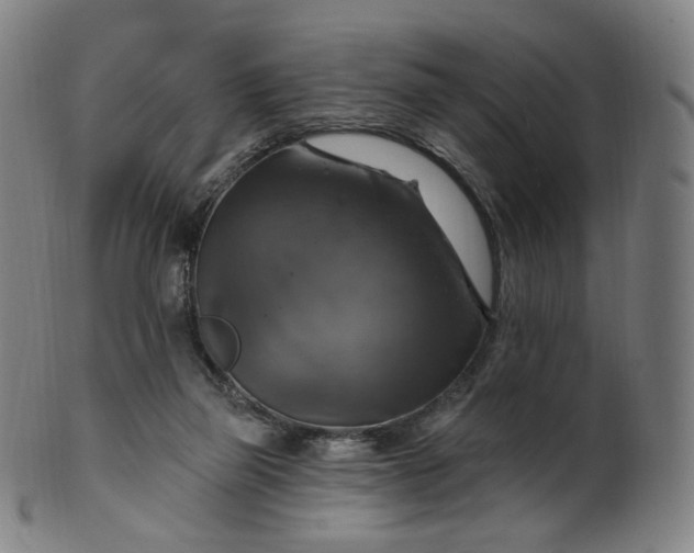 X0000099950165200806061551