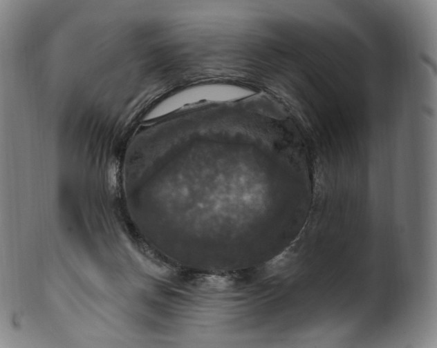 X0000099950166200806061551