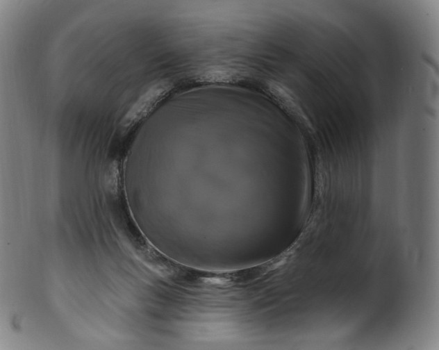 X0000099950167200806061551